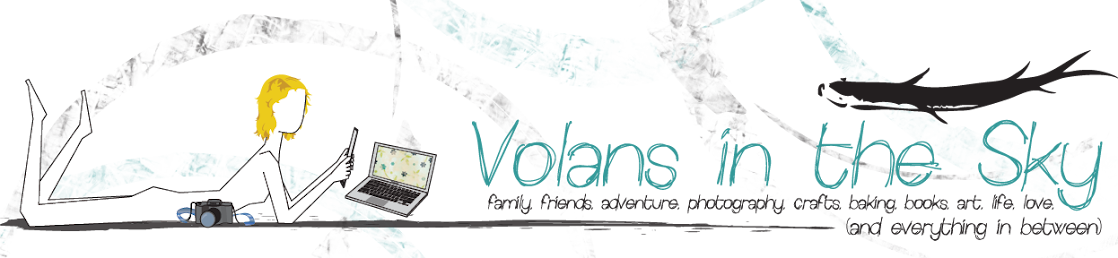 Volans in the Sky