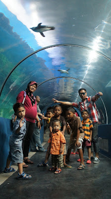 penguin langkawi