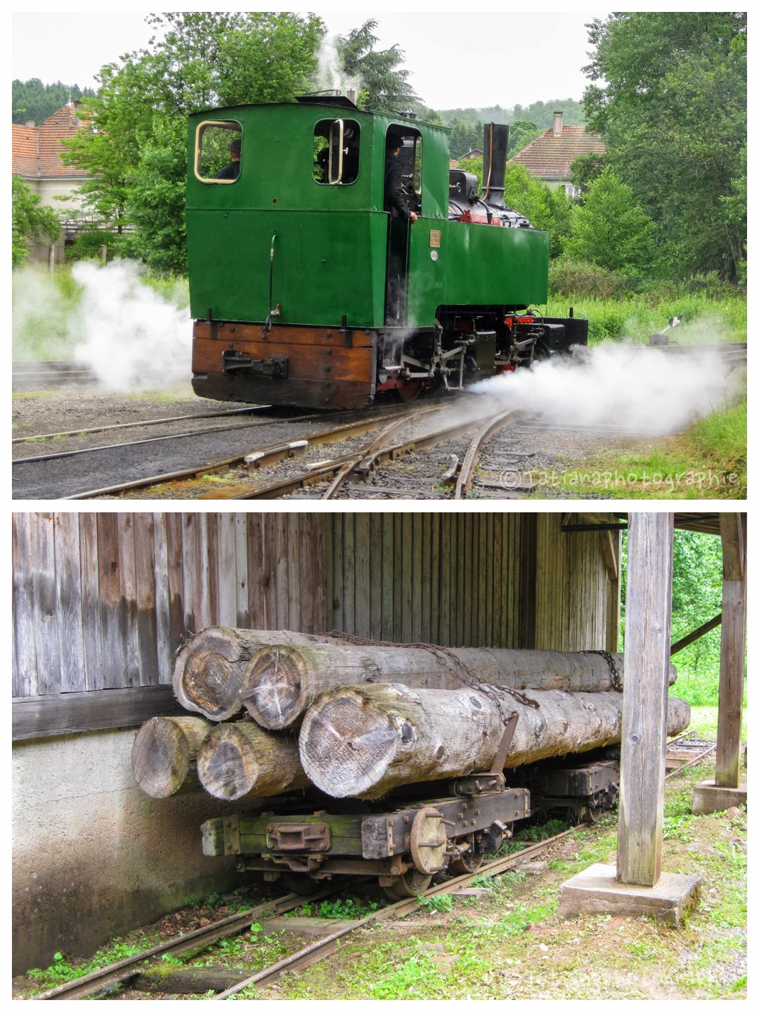 MES P'TITS BONHEURS LE PETIT TRAIN