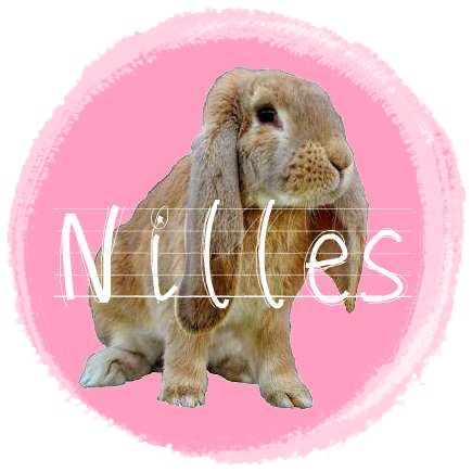 http://rabbitrubbish.blogspot.fi/p/nilles.html