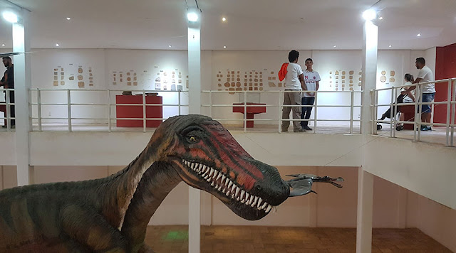 Santana do Cariri, Ceará, Museu Paleontologia URCA