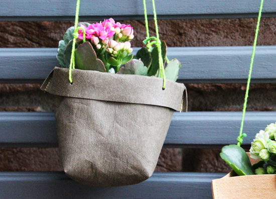 binedoro Blog, DIY, Dekoration, SnapPap, Holzgitter, Balkon, Utensilo, Blumen binedoro Blog, DIY, Dekoration, SnapPap, Holzgitter, Balkon, Utensilo, Blumen
