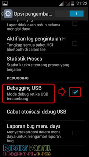 Cara Aktifkan USB Debugging Advan S4P