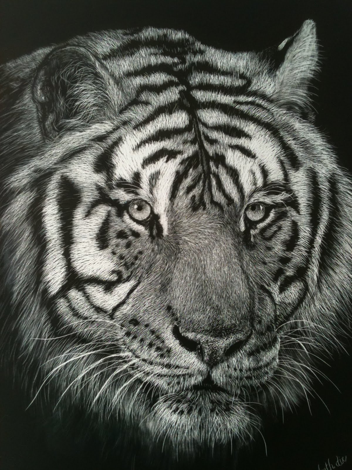 Beth Dix Art...embroidery and quilting! Scratchboard Drawings