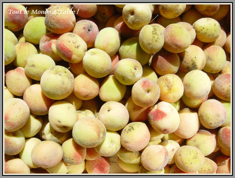 confiture de peche de vigne - France News Collections
