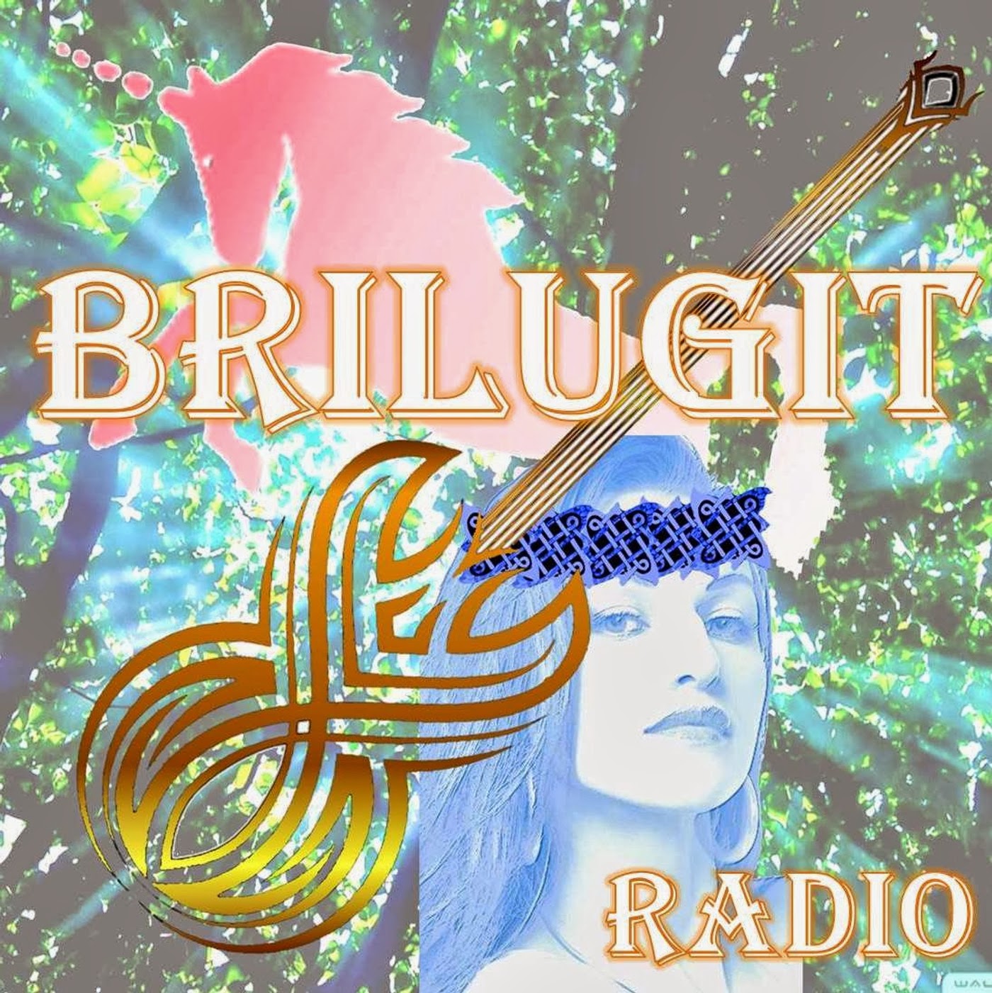 BriLuGit radio