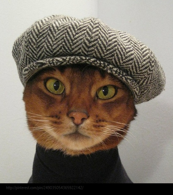 Renée Finberg ' TELLS ALL ' in her blog of her Adventures in Design