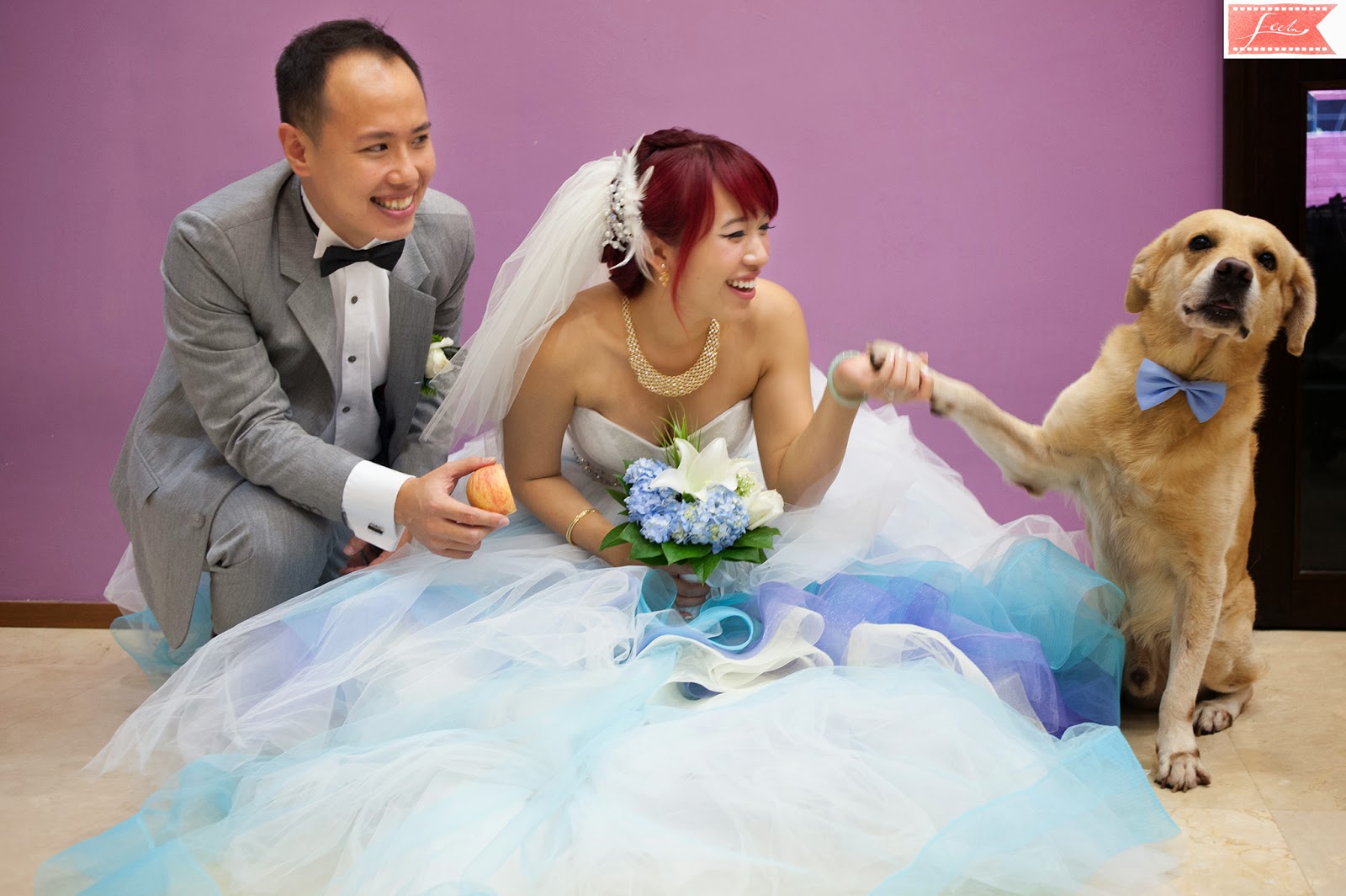 bride and groom dog paw feelm
