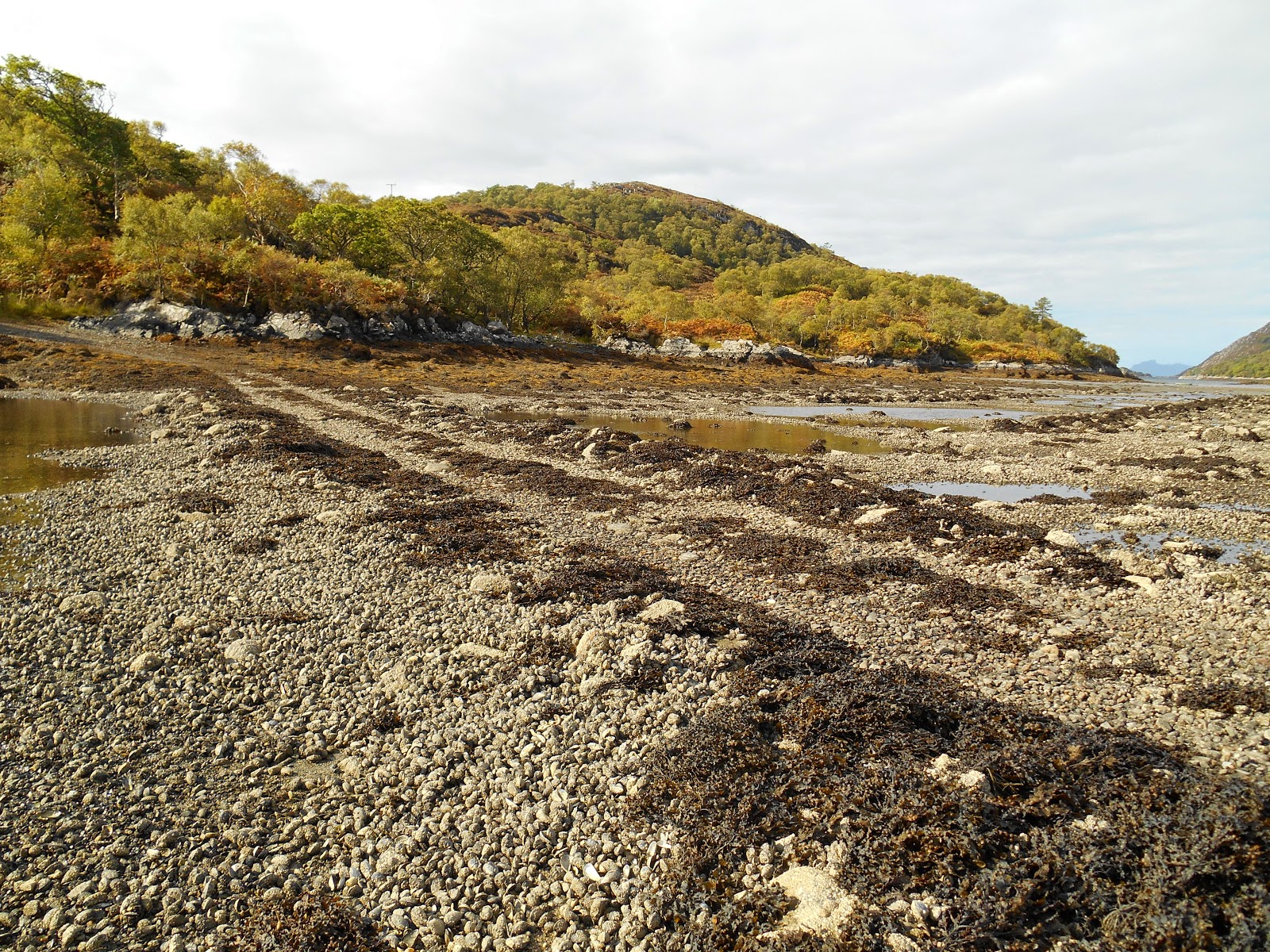 A Lifetime Of Islands Island 262 Shona Beag Loch Moidart Highland