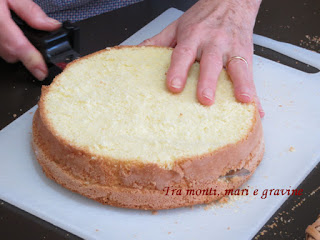 Pan di spagna gluten free