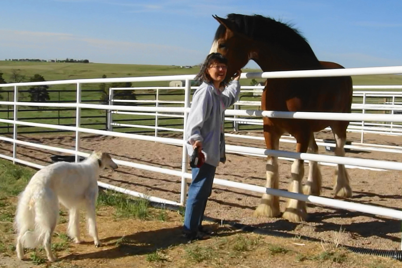 Moondance Ranch Boomer Makes New Friends