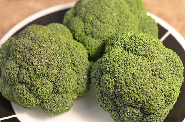 Broccoli is Good for a Healthy Heart Broccoli is Good for a Healthy Heart