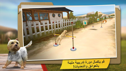 تحميل لعبة الكلاب DogHotel مهكرة للاندرويد اخر اصدار تحميل لعبة الكلاب DogHotel مهكرة للاندرويد اخر اصدار