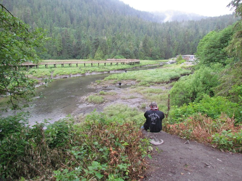 Grandma's Grand Adventures Mostly the bears and eagles at Herring Cove