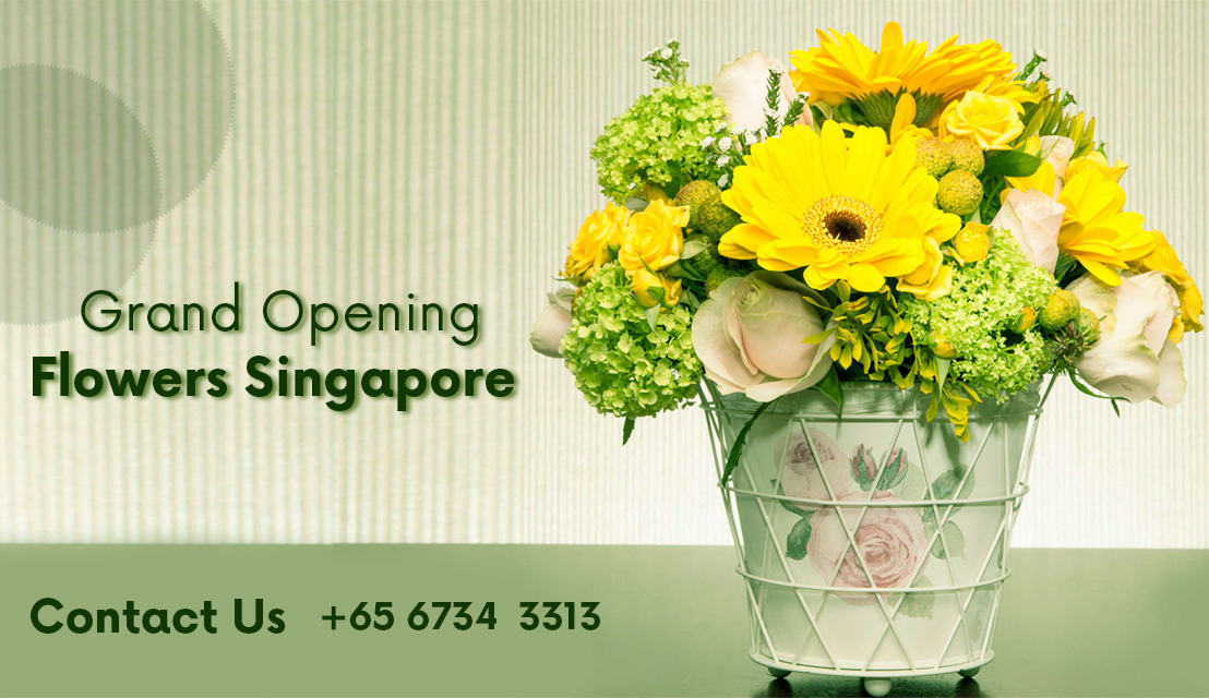 Grand Opening Flowers and Congratulatory Flowers Starflorist