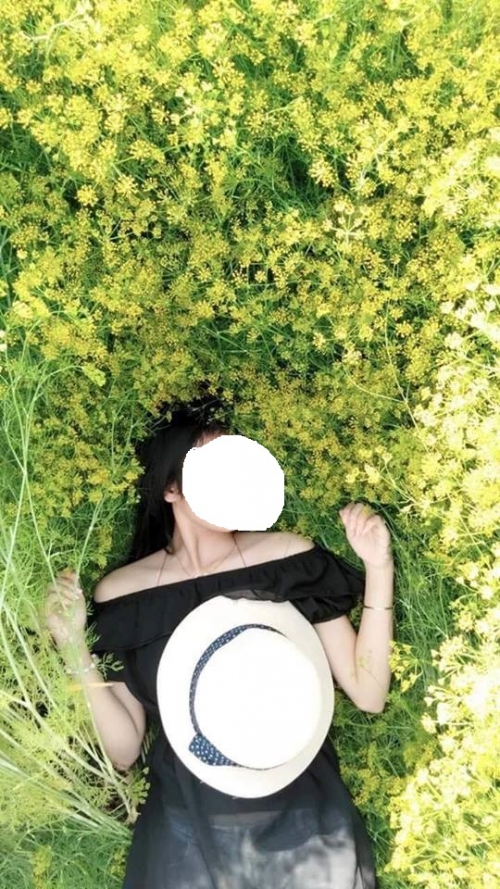 Chùm ảnh TAN THƯƠNG về cánh đồng hoa thì là gây sốt Ninh Thuận