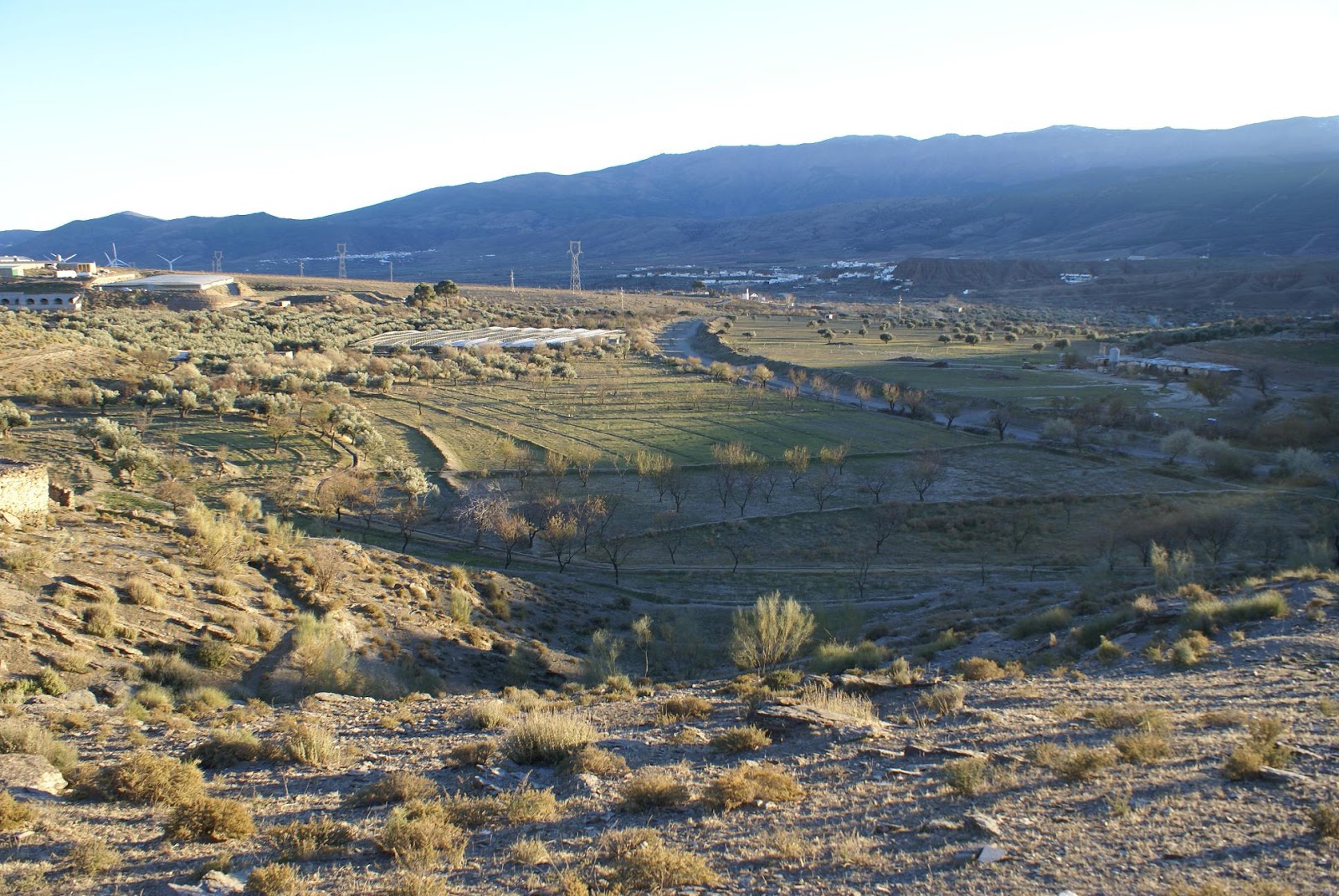 Huéneja y Fiñana loberosygalgos, de JLobo : Cortijo "El Gavilán"