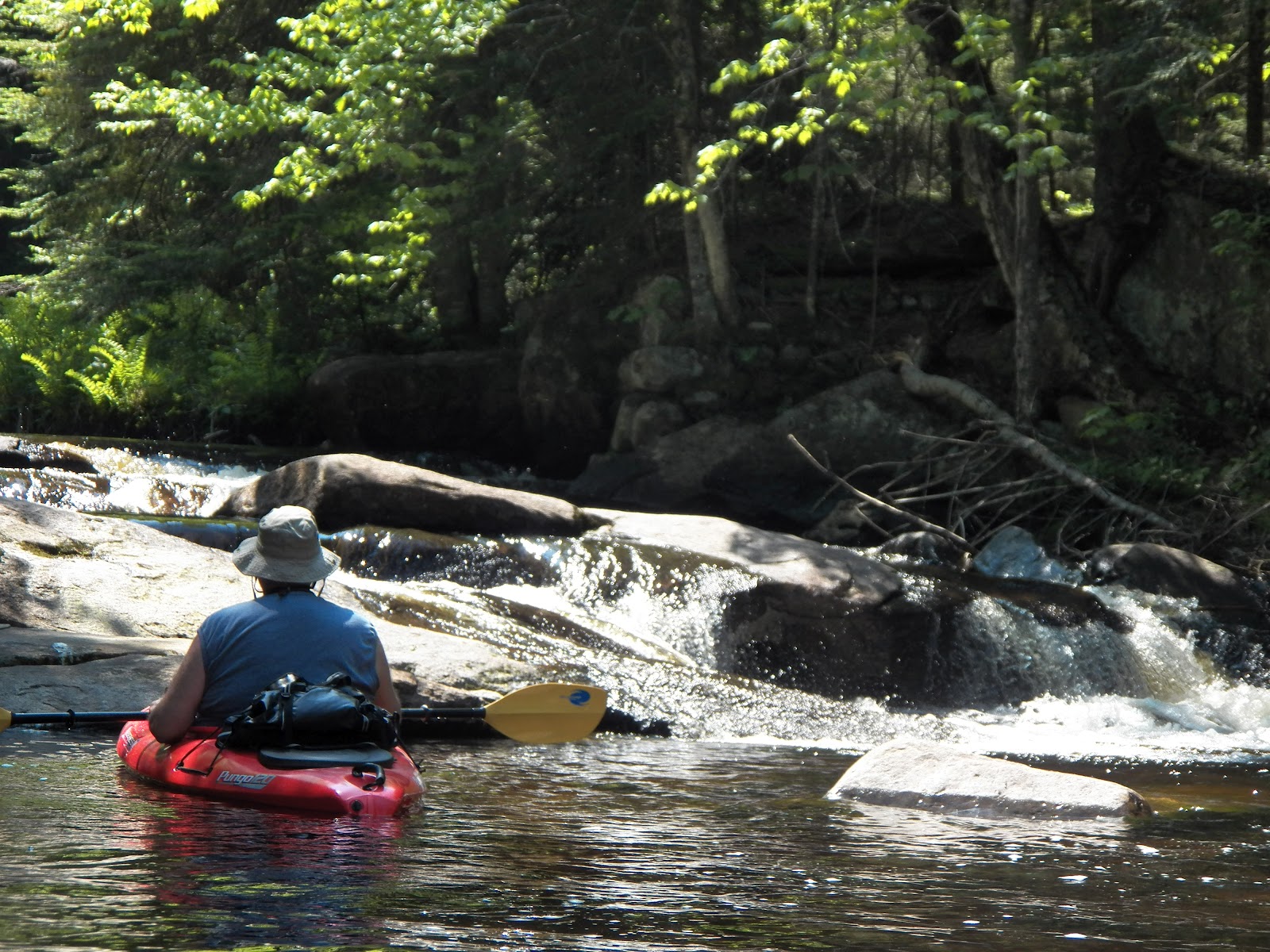 Quiet Kayaking in New York State South Inlet, part two