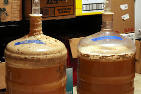 The Belgian yeast unsurprisingly was a little more active.