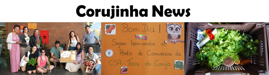 Corujinha News