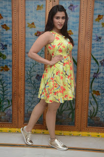mannara chopra jakkanna photos mannara chopra jakkanna photos