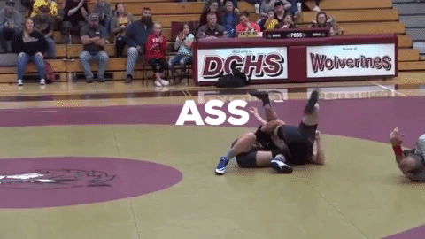 Men Wrestling Women: 2019