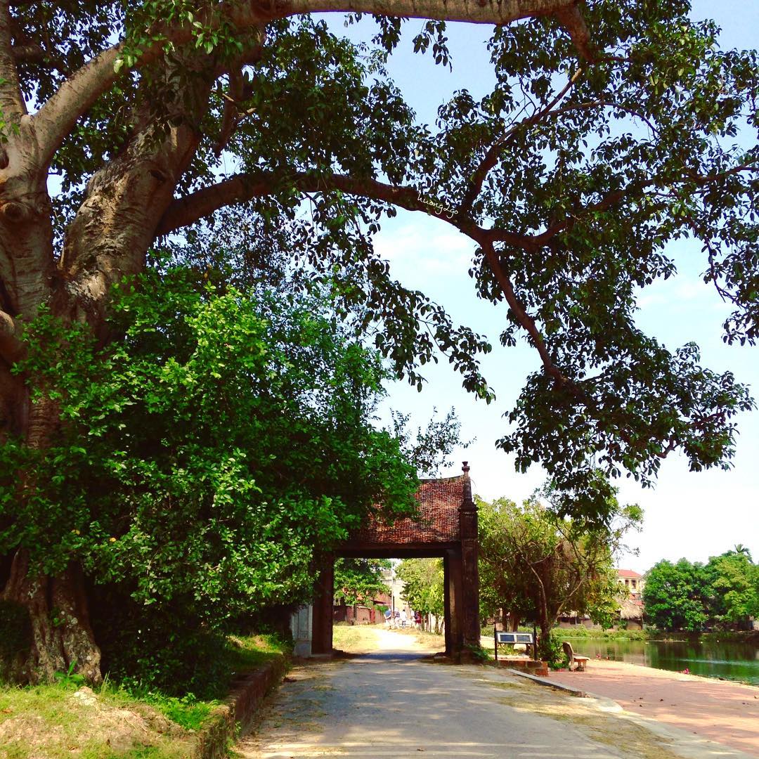 Làng cổ Đường Lâm Làng cổ Đường Lâm