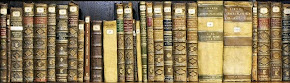 The Linnean Society of London Library & Archives