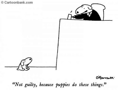 Funny Guilty Dogs 4