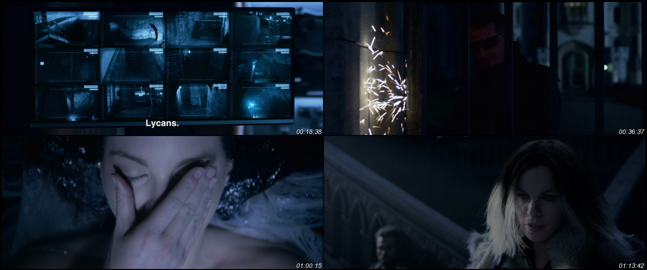 Underworld: Blood Wars 2016