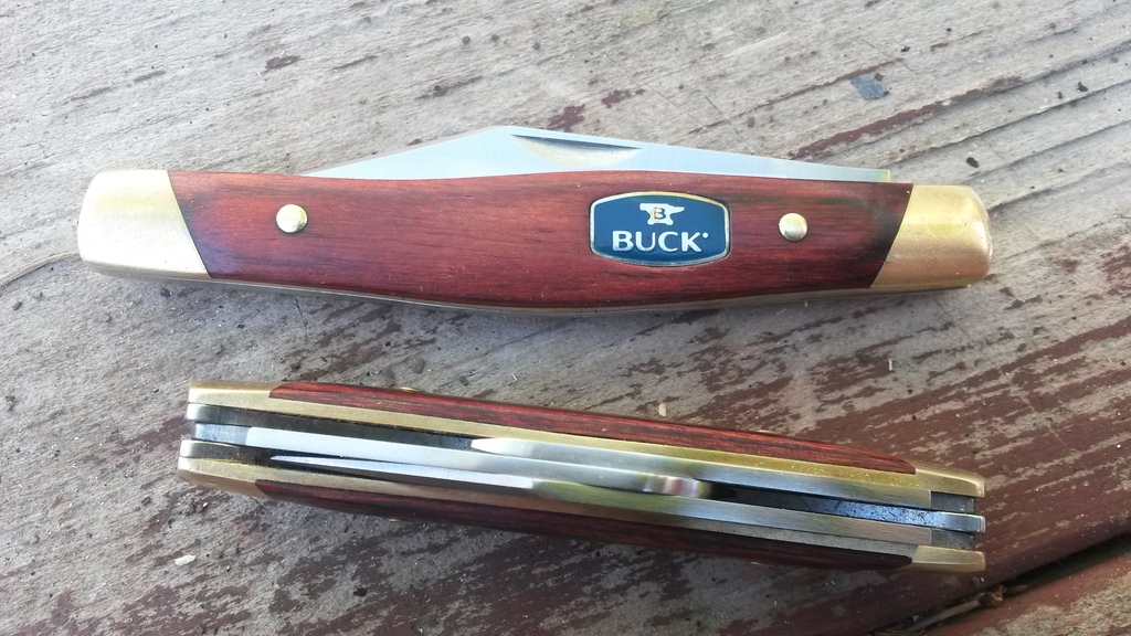 Buck_302_303_d_zpsjpmf8ljd.jpg
