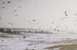 barren snow field frozen hughes