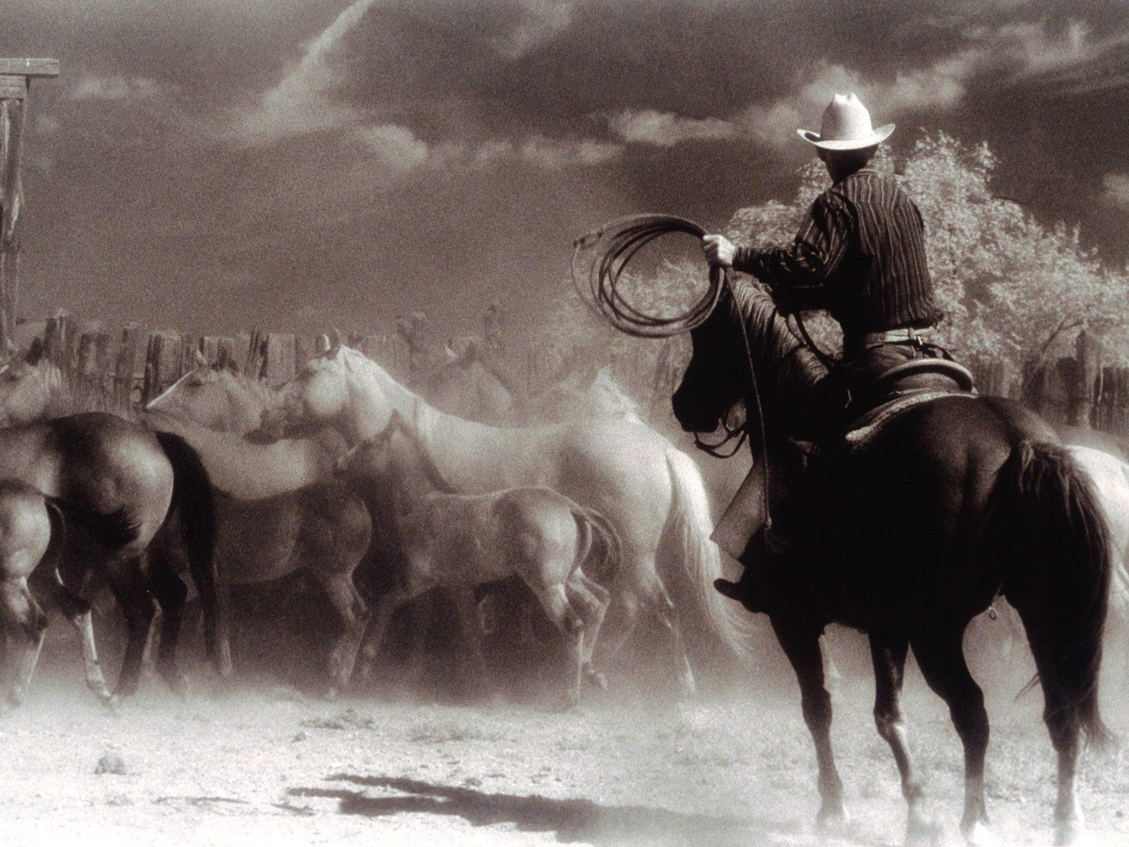 Imagenes Cowboy Up | el hombre que mato a liberty valance cowboys la Imagenes Cowboy Up | el hombre que mato a liberty valance cowboys la