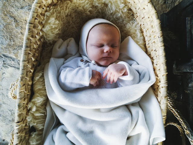 Louie Bundled Up In A Basket Baby bundled up cosy in a basket