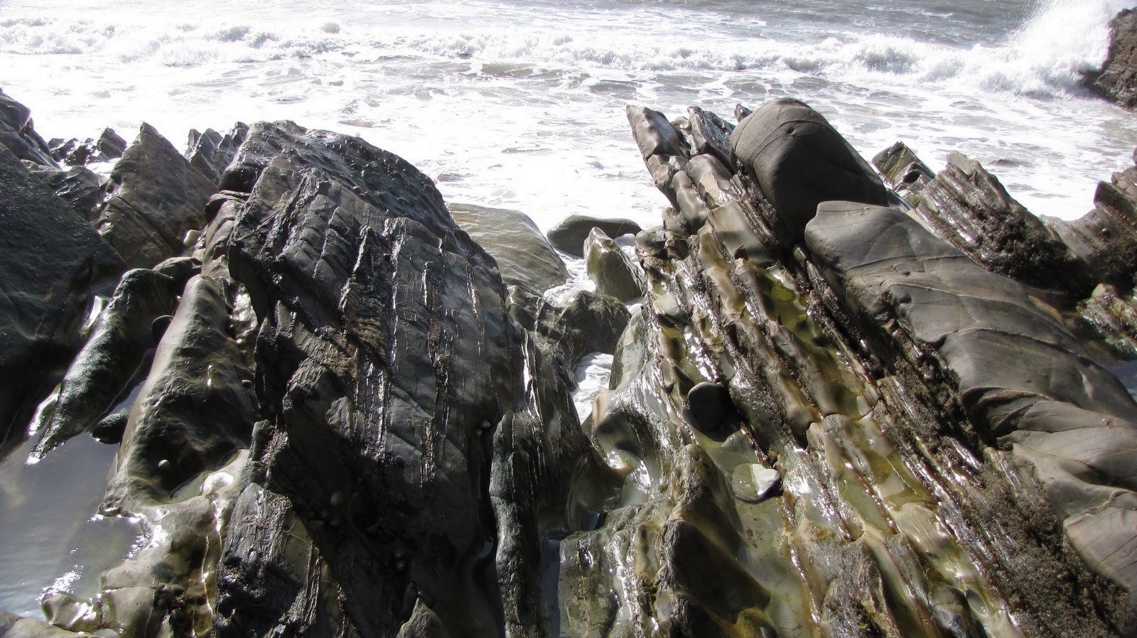 The Glebe Blog: Machars Coastline