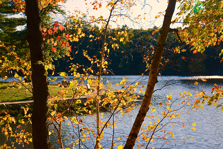 Mirror Lake State Park, Hiking | My Darling Days Mirror Lake State Park, Hiking | My Darling Days