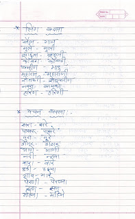 STD 8 Marathi: Type of Sentences