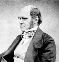 photograph of Charles Darwin A serious scientist.