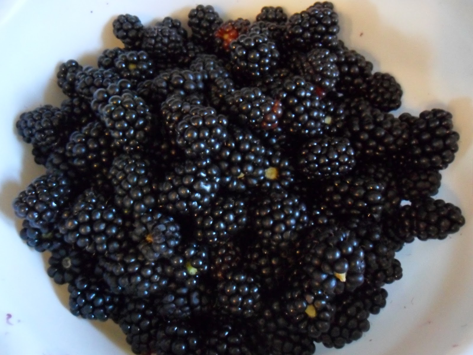 Sabines und Anjas Hobbyeck: Brombeer-Marillen-Marmelade