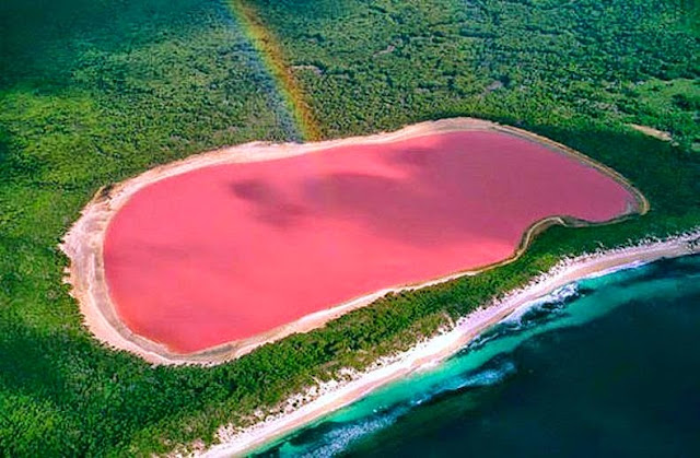 danau berwarna pink yang unik