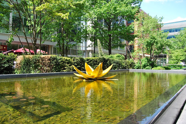 Marigold Hodgkinson’s yellow water-lily, Spitalfields