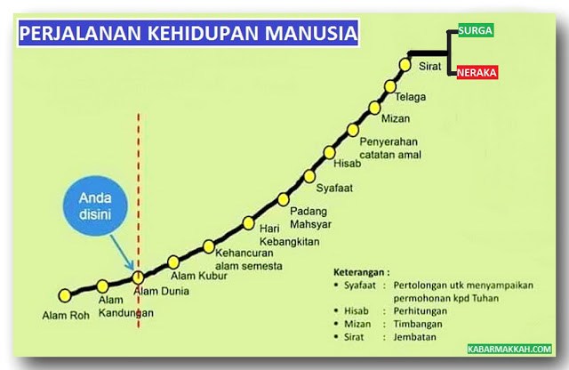 Biografi Perjalanan Hidup Dari Lahir Sampai Dewasa