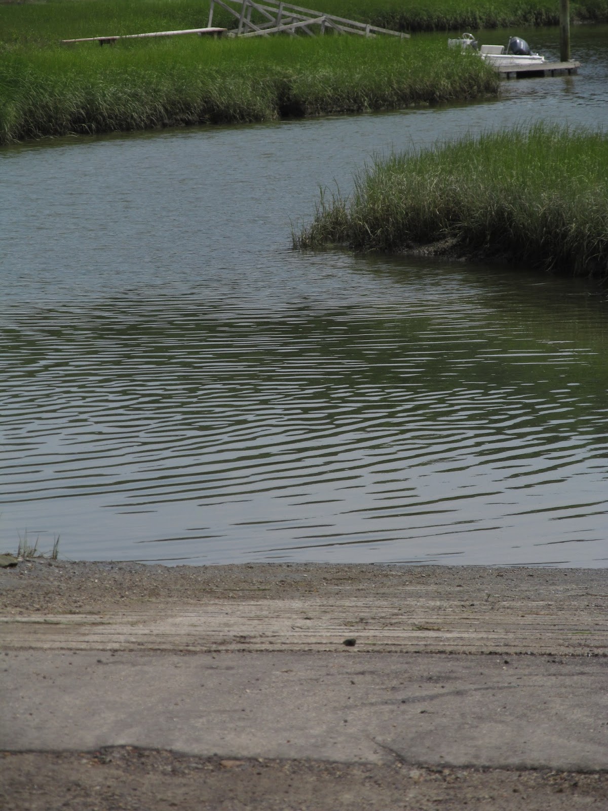 Recreational Kayaking in Maine Harraseeket River, South Freeport, Maine