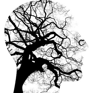 Belajar Singkat Rangkuman Materi Kata Rujukan Dan Contohnya Lengkap