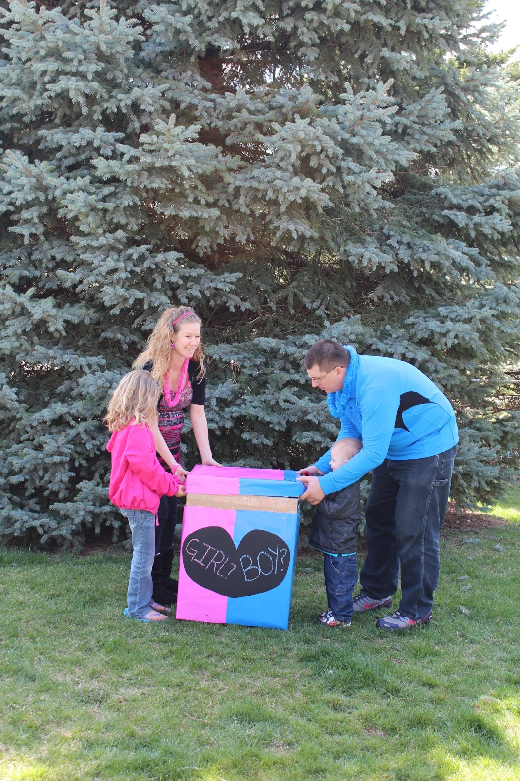 Java MaMa is the Boz of this House: Gender Reveal
