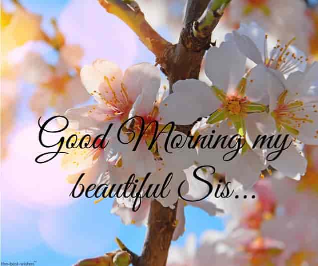 good-morning-my-beautiful-sis-image good morning my beautiful sis image