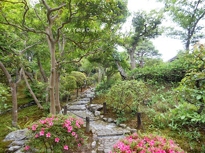 Moss garden at the Yoshikien garden in Nara, Japan