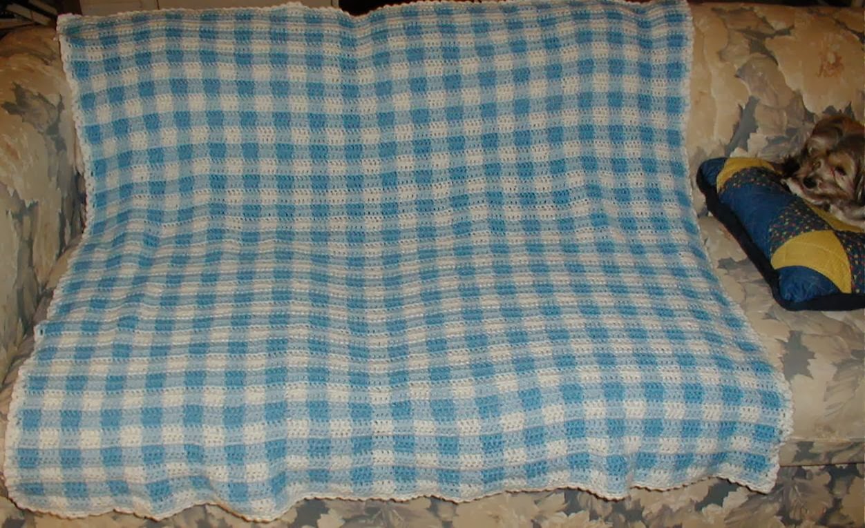 Karens Crocheted Garden of Colors Blue and White Gingham Baby Blanket
