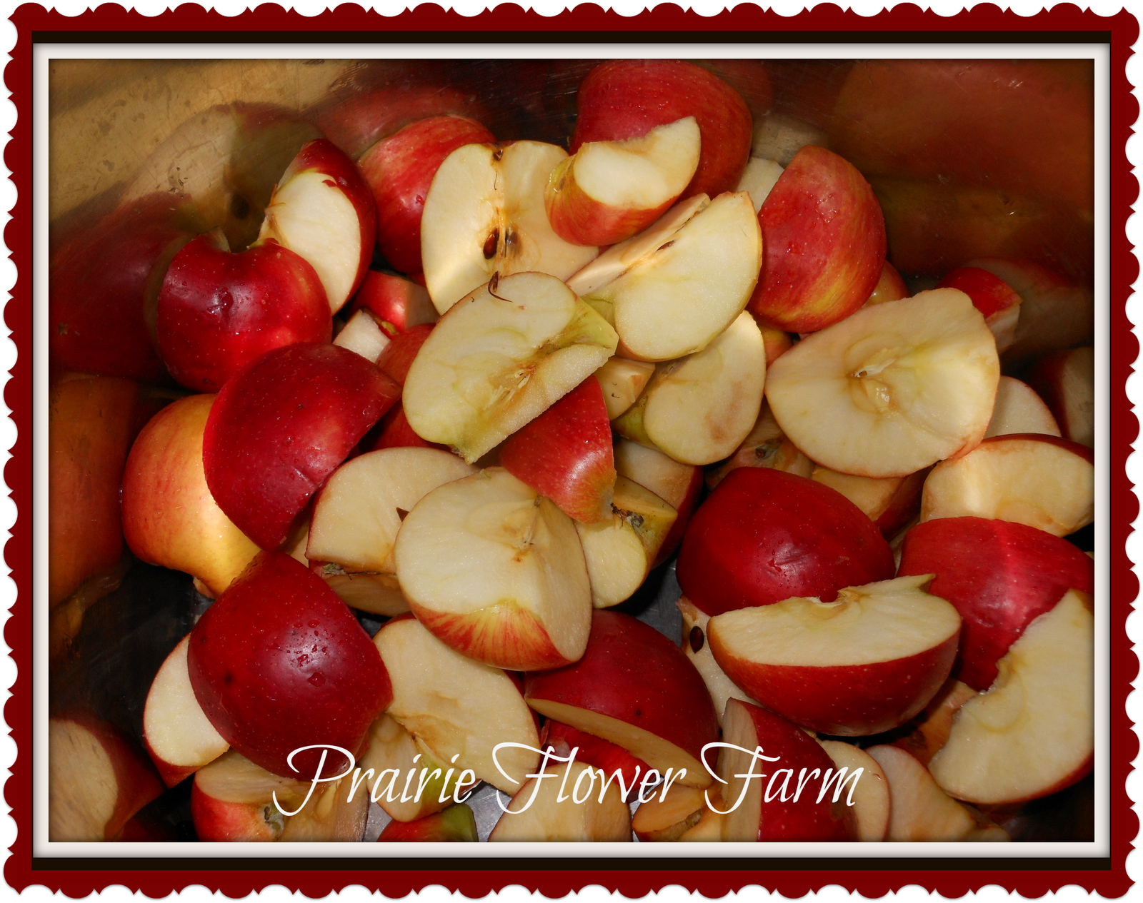 Prairie Flower Farm Homemade Applesauce Tutorial