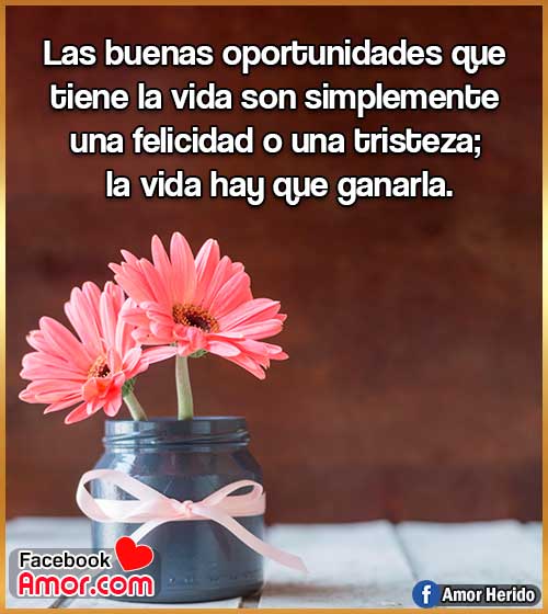 frases de la vida felicidad frases de la vida felicidad